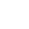 Icons8 20 100
