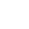Icons8 Auction 100